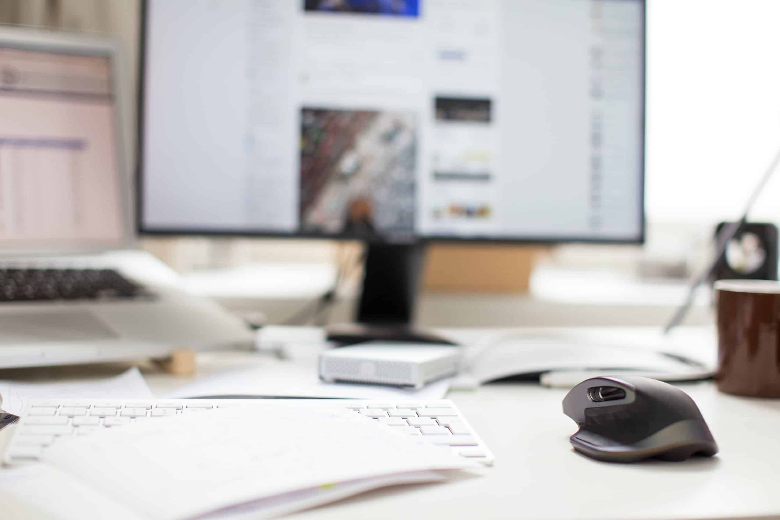 Consultant SEO Mailerlite 1 souris avec un carnet sur le cote